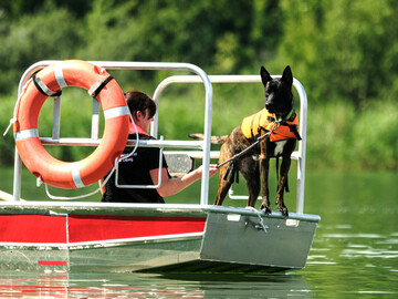 Ein Hund steht auf einem Boot der Rettungsstaffel und hält Ausschau. 
