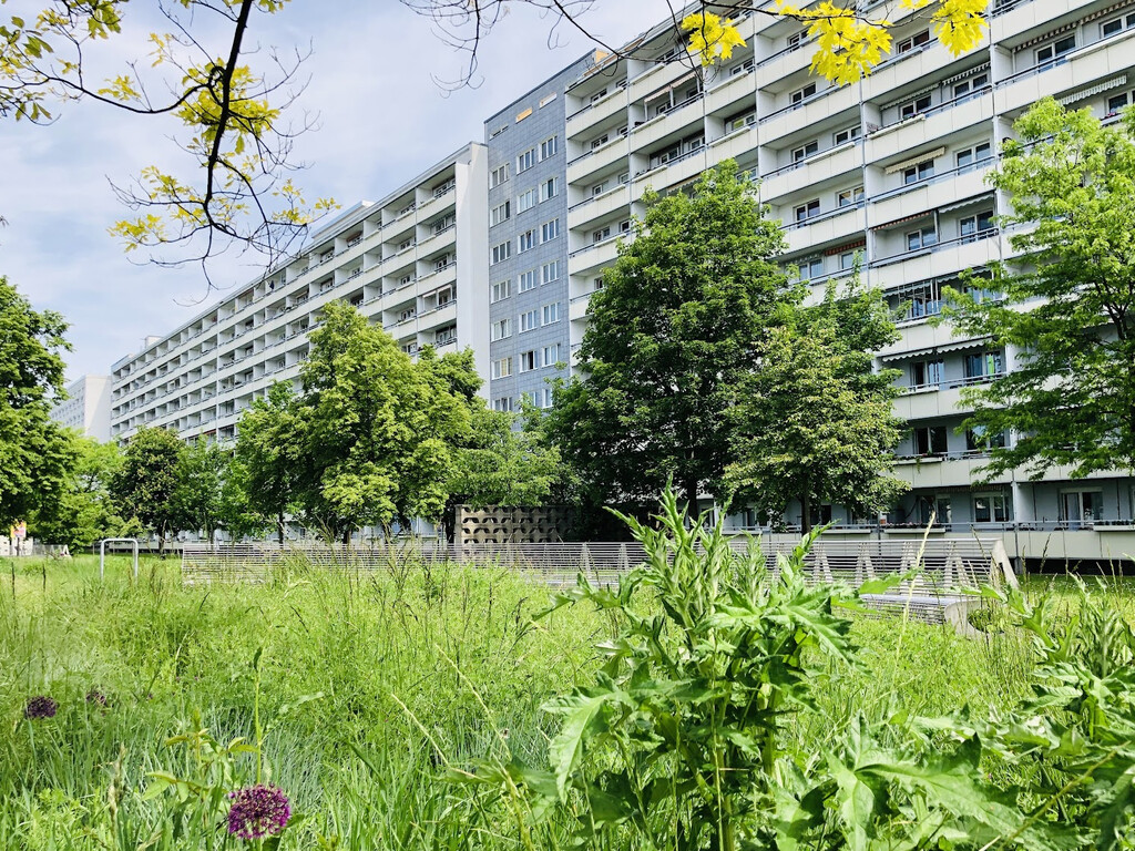 Zerbster Straße 35, 06124 Halle (Saale)