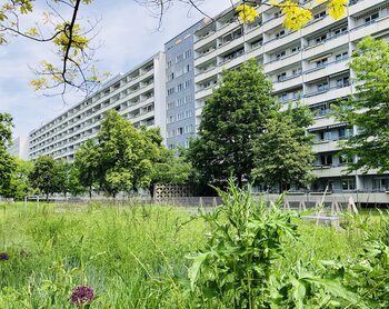 Zerbster Straße 35, 06124 Halle (Saale)